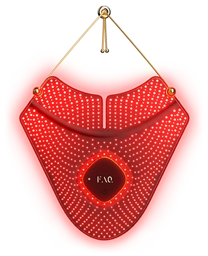 FAQ™ 211